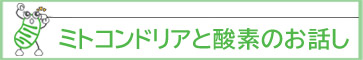 ミトコンドリアと酸素のお話し